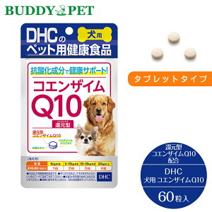 DHC p Y RGUCQ10Ҍ^ 60 FEEۑEYsgp HEsgp VjA J  C~_][yv`h ^E 3Jȏ DHC̈S