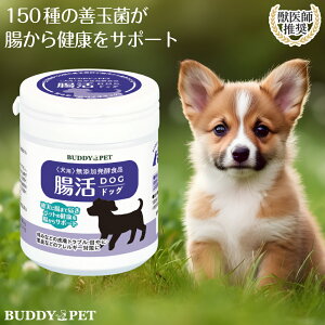 Ckp  Tvg hbO 100g ^Cv bt  YyHi ^voCIeBNX AM[ XgX  ֔ ڂ L  Ɖu  ̑ t 