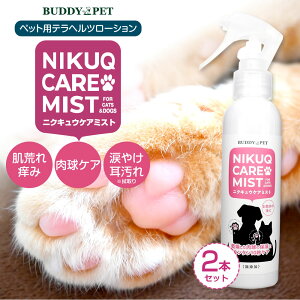 y2{Zbgzybgp ewcϐ NIKUQ CARE MIST 140mL PA ~Xg  L tP   ѕݗ܂₯ ڂ _ Y  AR[t[ XLPA  U 