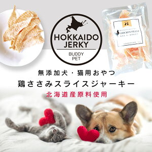 TT~XCXW[L[ kC Y  L p   { 100 Y ܎~߃Nbv̂܂t H wV[ Oet[