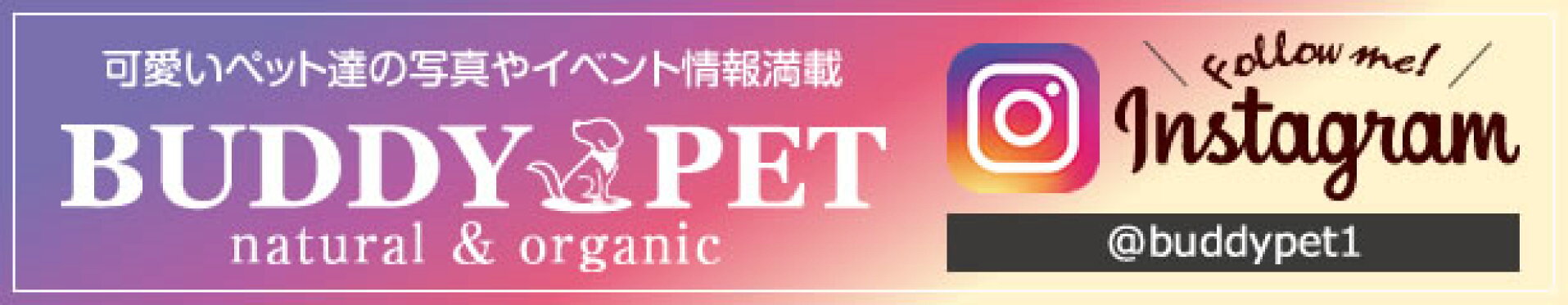 インスタグラム 会員募集