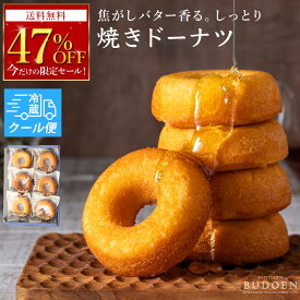 期間限定47%OFF！【クール便対応】 残暑見舞い 敬老の日 焼きドーナツ セット 葡萄園 ドーナツ 洋菓子 ギフト 手作り 贈り物 お菓子 おやつ 焼菓子 焼き菓子 贈答用 プレゼント ギフト お菓子 2026お配り 個包装 簡易包装 訳あり お返し スイーツ 内祝い 出産内祝い 送料無料