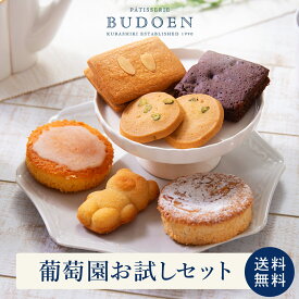 【 数量限定 】 買い回りに！大人気！葡萄園お試しセット(6個入り) 送料無料 手作り 洋菓子 詰め合わせ 個包装 スイーツ 訳あり 簡易包装 お配り 焼菓子 焼き菓子 お返し お礼 職場 プチギフト 2025 お中元 夏ギフト お取り寄せ お取り寄せスイーツ