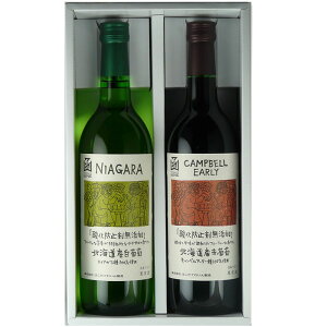 _h~ܖYC 720ml ԁE 2{Zbg(LxA[[EiCAK)@͂Ă킢iكCj@kC@j@{C@@v[g@