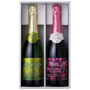 d݃Xp[NOC Ԕ2{Zbg[Mtg]j j a@Mtg 蕨@@