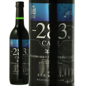 Cʉ283m̊CŏnCglnCNց@720ml݁@ƈ݁@IC݉@v[g