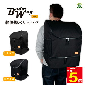 yԌ聚Gg[őSi|Cg5{z h  h  BUDO WING PRO ybN 2i  w  lp/Np 