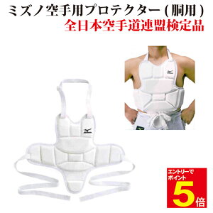 空手 プロテクター MIZUNO 空手防具セット メンホー プロテクター 