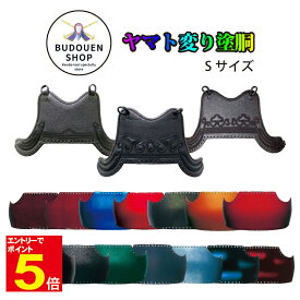 剣道 胴 単品 ヤマト変り塗胴 カラー胴 鬼雲飾り/兜飾り/山飾り 溜塗/紅溜塗/暁雲塗/紺雲塗/青玉虫塗/玉虫塗/金梨地塗/紅梨地塗/緑梨地塗/青カスミ塗/濃藍塗/エメラルド塗/黒石目塗/溜石目塗 胴紐付 Sサイズ 送料無料 武道園