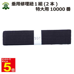 yԌ聚Gg[őSi|Cg5{z  C ѕR p10000 2{1g 