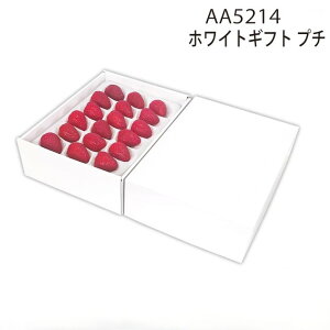 yϔzzCgMtg@v`i10j@F170×250×H70mm