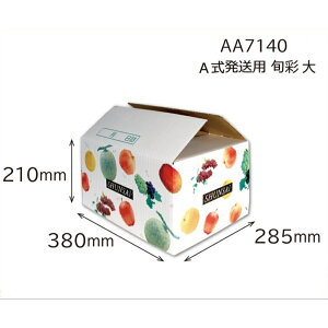 �y�����p���蔠�zA�������p�@�{�ʁ@��i20�����j�@�����F285×380×H210mm