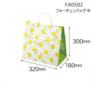 y肳܁ztH[`obO@i200j@TCYFH300mm×W320mm×}`180mm