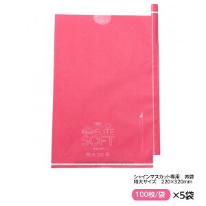 I ΂Ԃǂp   220×320ij[G[g\tg   700gԂǂpj 100×5Zbg