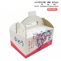 楽天市場】ぶどう 箱 出荷 100の通販