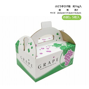 肳 OT-1 Ԃǂ ifEFA Kgj 5