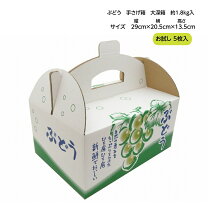 楽天市場】ぶどう 箱 出荷 100の通販