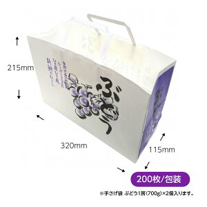 肳 Ԃǂ  (c215×320×}`115mm) 200/ Ԃǂ2[