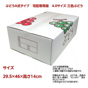 ԂǂA^Cv@zp@4.0TCY OFԂǂi29.5×46×14cmj 30/ j[AII ʏE①ł̑z\łB