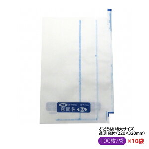 I Ԃǂ 呋 Zn  t 100 220×320mmiG[gvX 呋J ~tj ʎ  t  EccŁI ₳vXI j[AIi100×