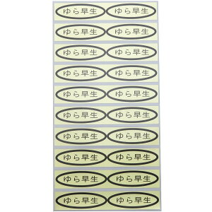 iV[@瑁49×14mm@ȉ~`500(20×25V[g) ݂V[ kރV[ iV[ V[