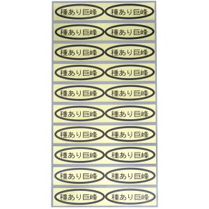 V[@킠苐@49×14mm@ȉ~`500(20×25V[g)