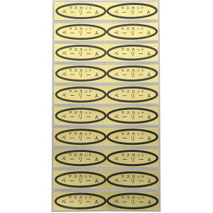 iV[@}XJbgx[[A@49×14mm@ȉ~`500(20×25V[g) ԂǂV[ V[ iV[ V[