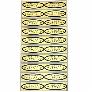 iV[@}XJbgIuALThA@49×14mm@ȉ~`500(20×25V[g) ԂǂV[ V[ iV[ V[