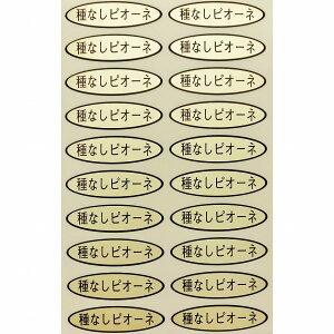 iV[@ȂsI[l@49×14mm@ȉ~`500(20×25V[g) ԂǂV[ V[ iV[ V[