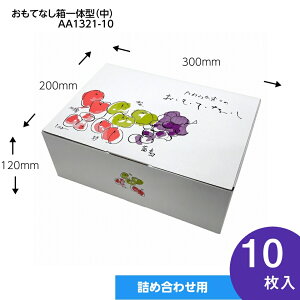 ĂȂ@̌^ @ʕMtg@ʕ@v[g{bNX@P[X@t[clߍ킹p@pbP[W@10@iAA1321-10j