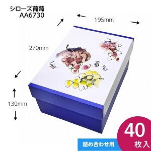 uhEEVC}XJbgMtgpϔ@V[Y@Ԃǂ2[p@ʕ@v[g{bNX@P[X@pbP[W@40iAA6730j