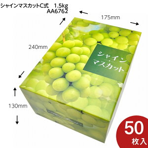 VC}XJbgMtgpϔ@VC}XJbg C@ 1.5kg@2p@ʕ@v[g{bNX@P[X@pbP[W@50@iAA6762j