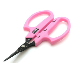 T{e  tbf R[g Ԃǂ n B-6M ȈՕ Ԃǂ E [ E t