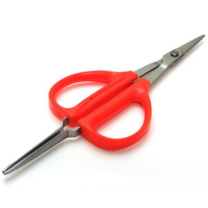 EnT~@B-300SPiߐjqKZbgt