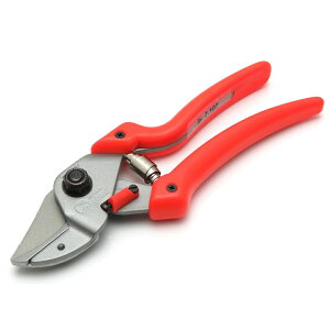 LOWE CI  Ar 7107 hCc IWiCI  N[d iv