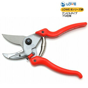 LOWE CI  Ar 8104 (LTCY) hCc IWiCI  N[d iv