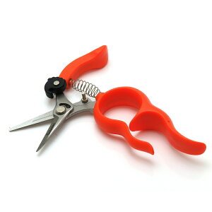 ���肪�g������n���@No.1318S�X�e�����X