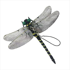 �~�L���R�X �V�G�Œ����� �I�j�����} M-42 ��܂��g�킸 �������΍�B