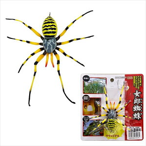 M-46 Yw Jw  w偂̑A KA uA JV Ȃǂւ VGʂŁA Q΍ Ss  Xgbv Œ݂邷I
