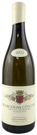 【フランス・白】イヴ ボワイエ マルトノ ブルゴーニュ　ブラン　2022 白ワイン 辛口 750ml 13.5％ Yves Boyer Martenot Bourgogne Blanc