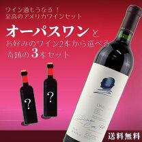 楽天市場】オーパスワン フルボトルの通販