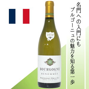 ytXEzXl@uS[jEu m@2020@Î̃XyVXgƂĒm郋Xl̒ԃuS[jEu@kmAʎ̍@VL[