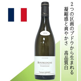 【フランス・白】トマ・モレ　ブルゴーニュ・シャルドネ　2022　シャサーニュ・モンラッシェの2区画の個性を融合　ミネラル感と果実味が調和したフレッシュでエレガントな味わい　ACブルゴーニュの枠を超える高品質白ワイン