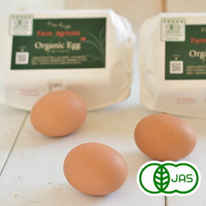 L@i6ʓ×6pbNj@@L@ P[Wt[ Aj}EFtFA I[KjbN Y kCY ܂ ʎq  I[KjbNGbO