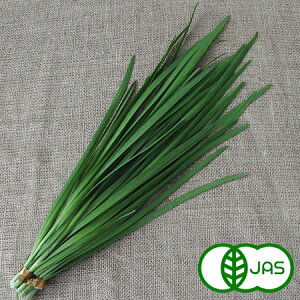 [�L�@�͔|] �ɂ�(100g)�@�@�I�[�K�j�b�N �L�@ ���Y �j�� �� �L�@�ɂ� �I�[�K�j�b�N�ɂ�