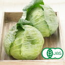 [有機栽培]キャベツ(1玉)　　オーガニック 有機 きゃべつ 国産 サラダ スムージー ジュース