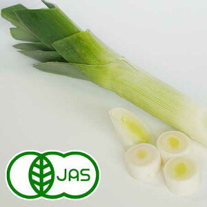 [L@͔|][L(m˂) (1{)@@I[KjbN L@ Y K lM |˂ j˂ kCY ˂