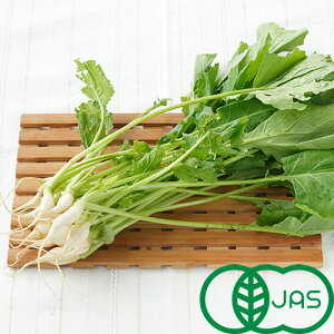 [L@͔|] Ԃ() (150g)@@I[KjbN  Ju t  T_ X[W[ W[X Y ɌY {