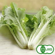 [有機栽培] べか菜 (200g)　　オーガニック 有機 国産 奈良県産 生 葉