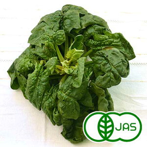 [L@͔|] ݂ق (200g)@@I[KjbN Y 쌧Y L@ zE\E @@ k݂ق